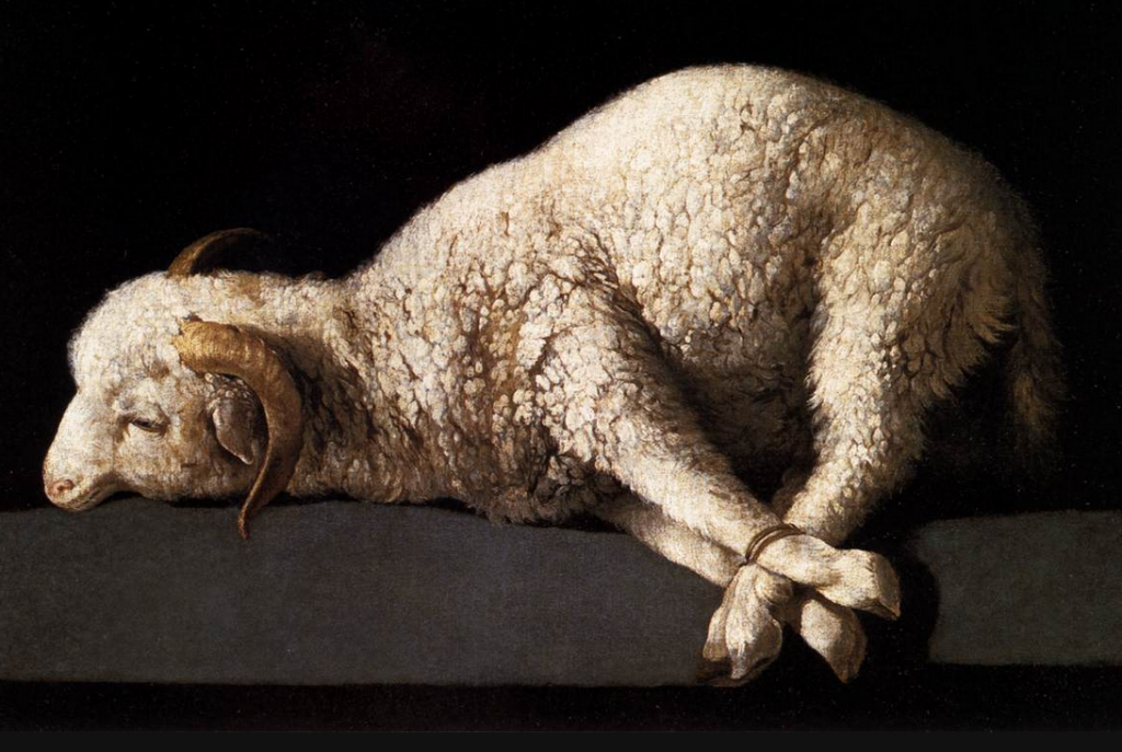 Agnus Dei (Lamb of God), by Francisco de Zurbaran, 1636. Christ, as the willing sacrifice sent by the loving Father, embodies true mercy.